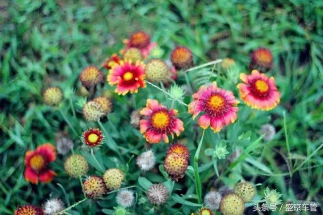 不用签证可以去的岛屿,不用出国就能玩的海岛