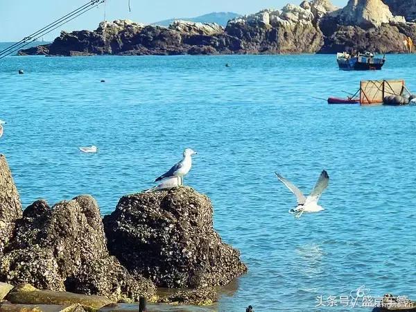 不用签证可以去的岛屿,不用出国就能玩的海岛