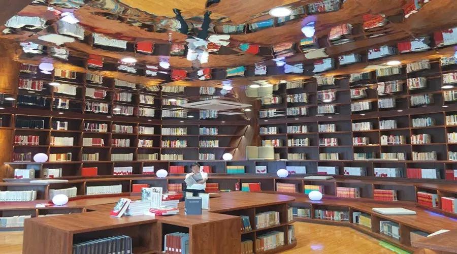 北二外教授唐晓敏：读这五篇文章，教你学好真正的语文