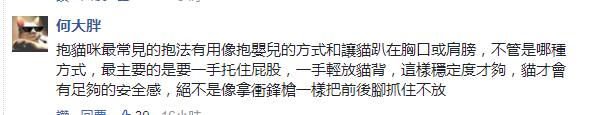 选情凉凉同僚不挺姚文智提喵上阵不料一个动作惹怒全台“猫奴”
