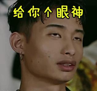 选情凉凉同僚不挺姚文智提喵上阵不料一个动作惹怒全台“猫奴”