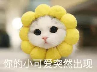 定妆控油防脱妆散粉推荐哪款,定妆控油散粉排行榜平价