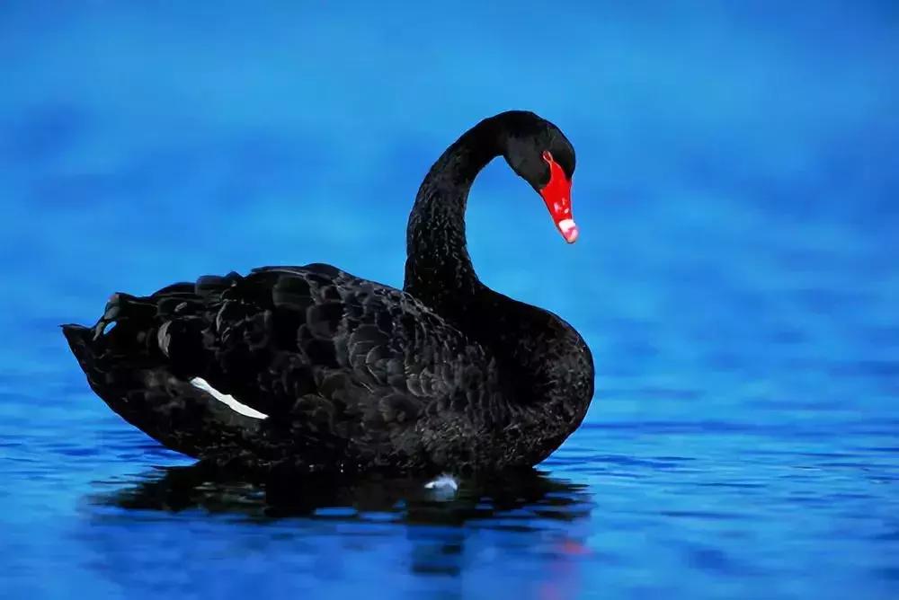 汽车后市场这5年：说起来也不全是“泪”……