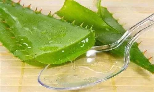 螨虫在皮肤里边跑痒怎么处理,螨虫肆虐背部