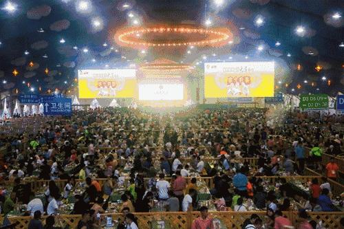 啤酒节又要开始了吗,啤酒节活动规则