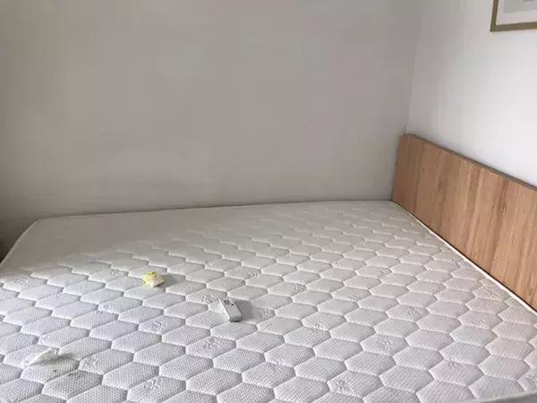 女租客价值6万,女租客退房后留下的垃圾桶