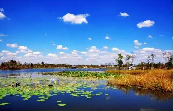 中德麓府高端大平层,2018中德麓府