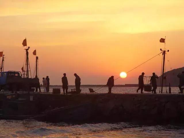 大连海鲜火锅自助餐排行榜前十名,大连海鲜火锅自助餐大全