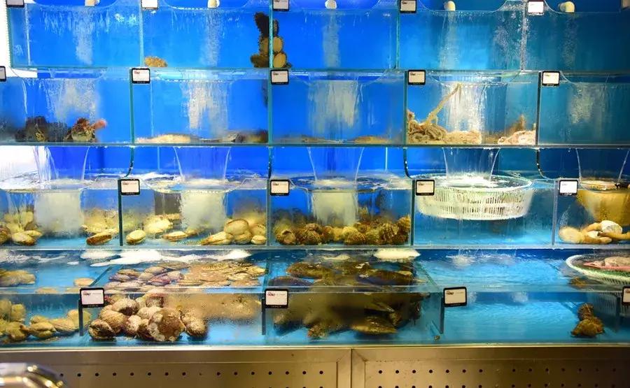 大连海鲜火锅自助餐排行榜前十名,大连海鲜火锅自助餐大全