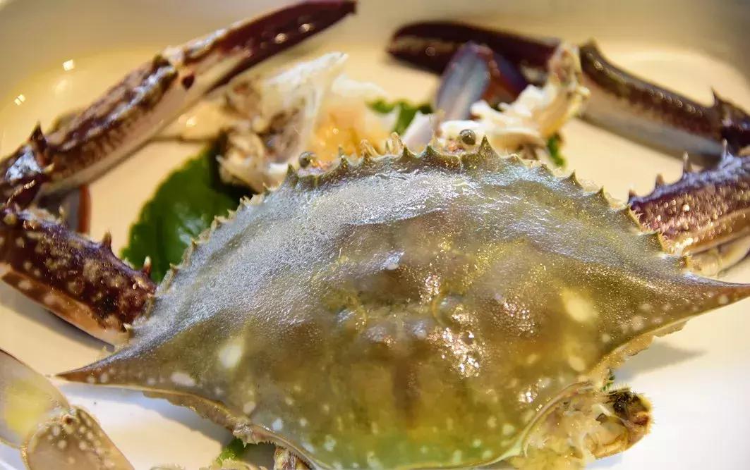 大连海鲜火锅自助餐排行榜前十名,大连海鲜火锅自助餐大全