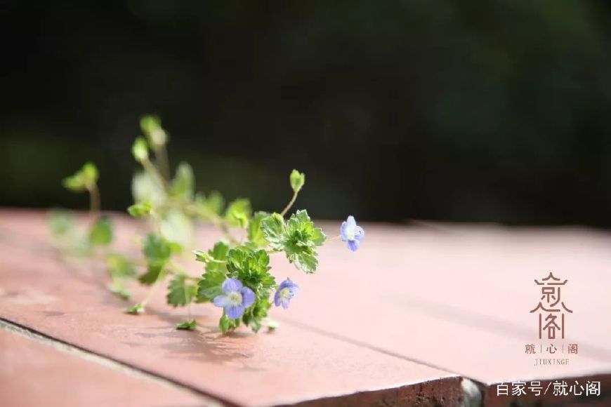 不孕不育泌乳素高怎么治疗,泌乳素偏高不孕怎么办备孕血少