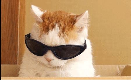 安全系数差的车,成都网约车最不推荐车型