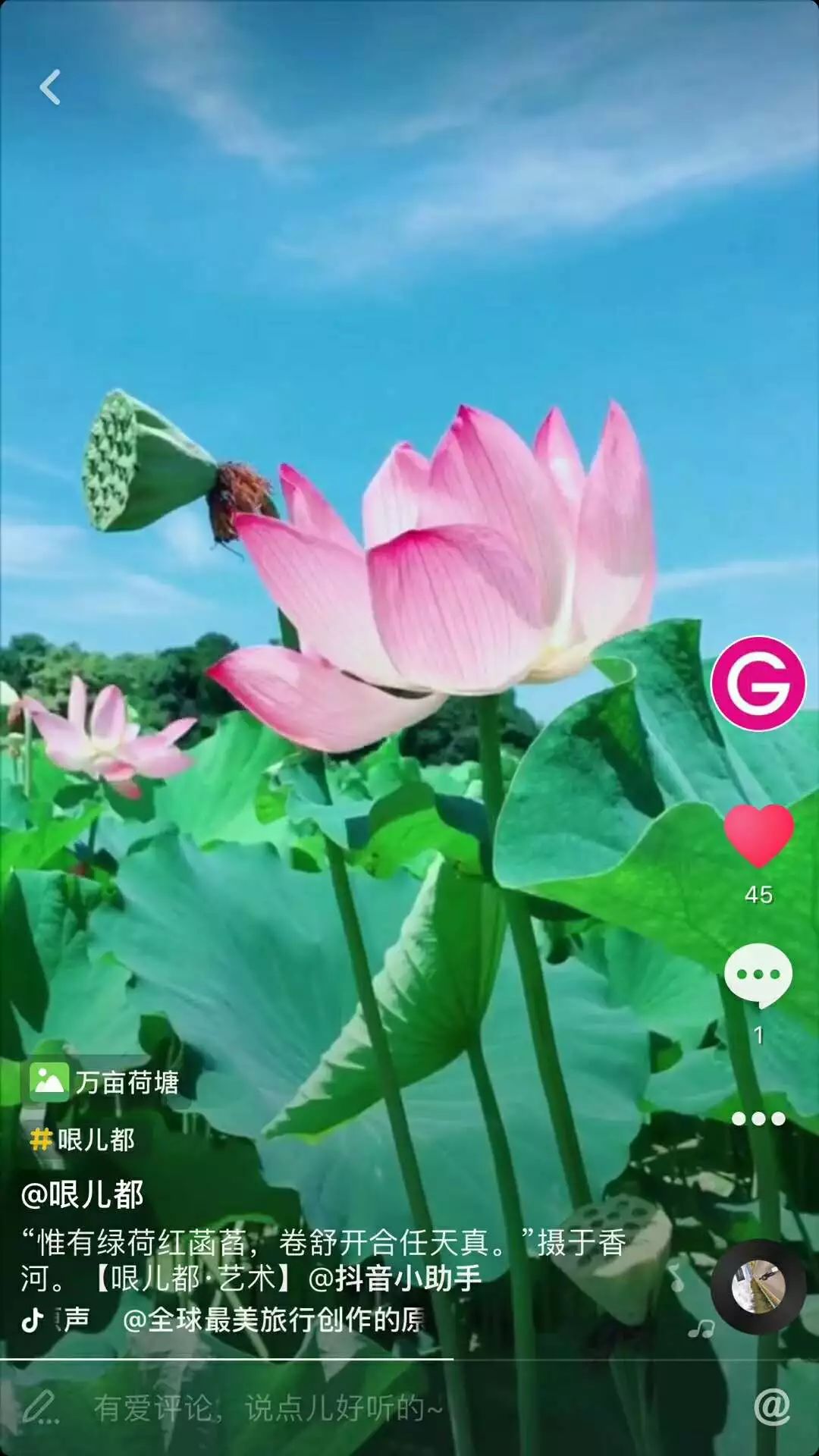 鍝忓効閮借嚜濯掍綋,鍝忓効閮芥柊濯掍綋