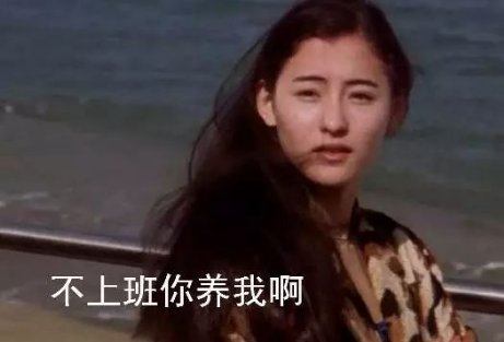 周立波持枪案是哪年,周立波持枪案详情