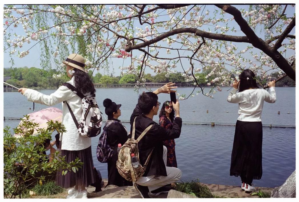 上海到成都沿途城市,上海去成都途经的城市