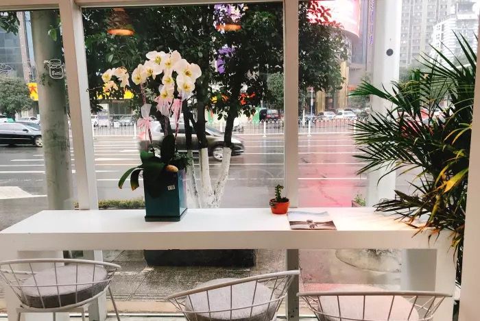 长沙探店打卡推荐拍照,长沙新晋网红拍照打卡地野肆