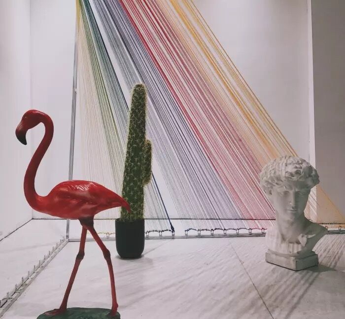 长沙探店打卡推荐拍照,长沙新晋网红拍照打卡地野肆