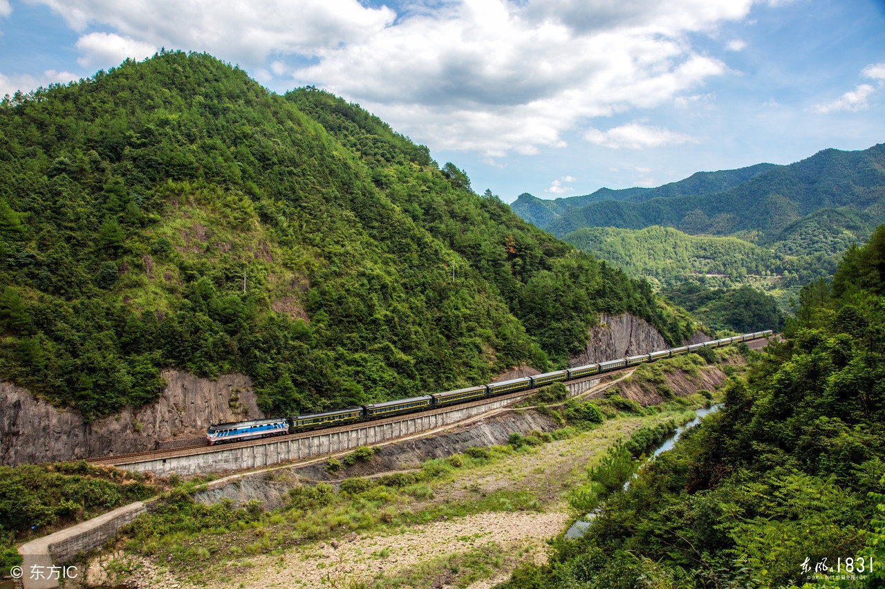 新疆蜜瓜特点,广东蜜瓜品种
