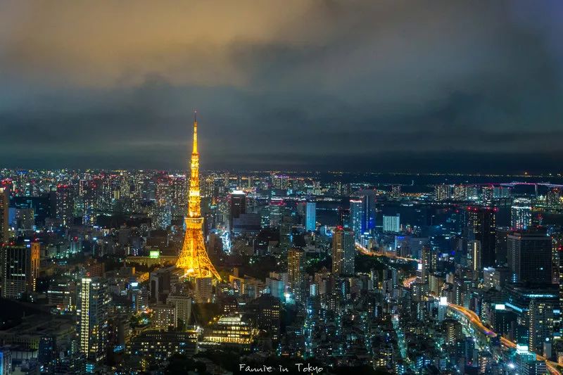 日本确定3月1日开放入境吗,日本开放办理工作签证的最新消息