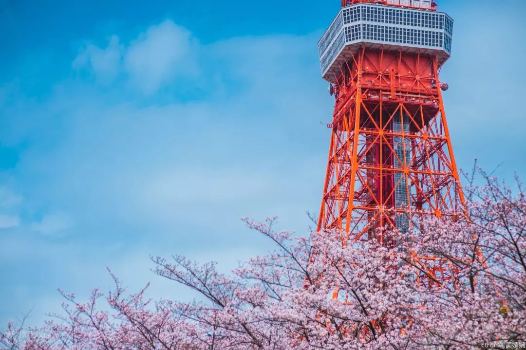 日本确定3月1日开放入境吗,日本开放办理工作签证的最新消息