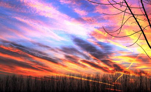 色彩心理学颜色搭配,色彩心理学测试解读