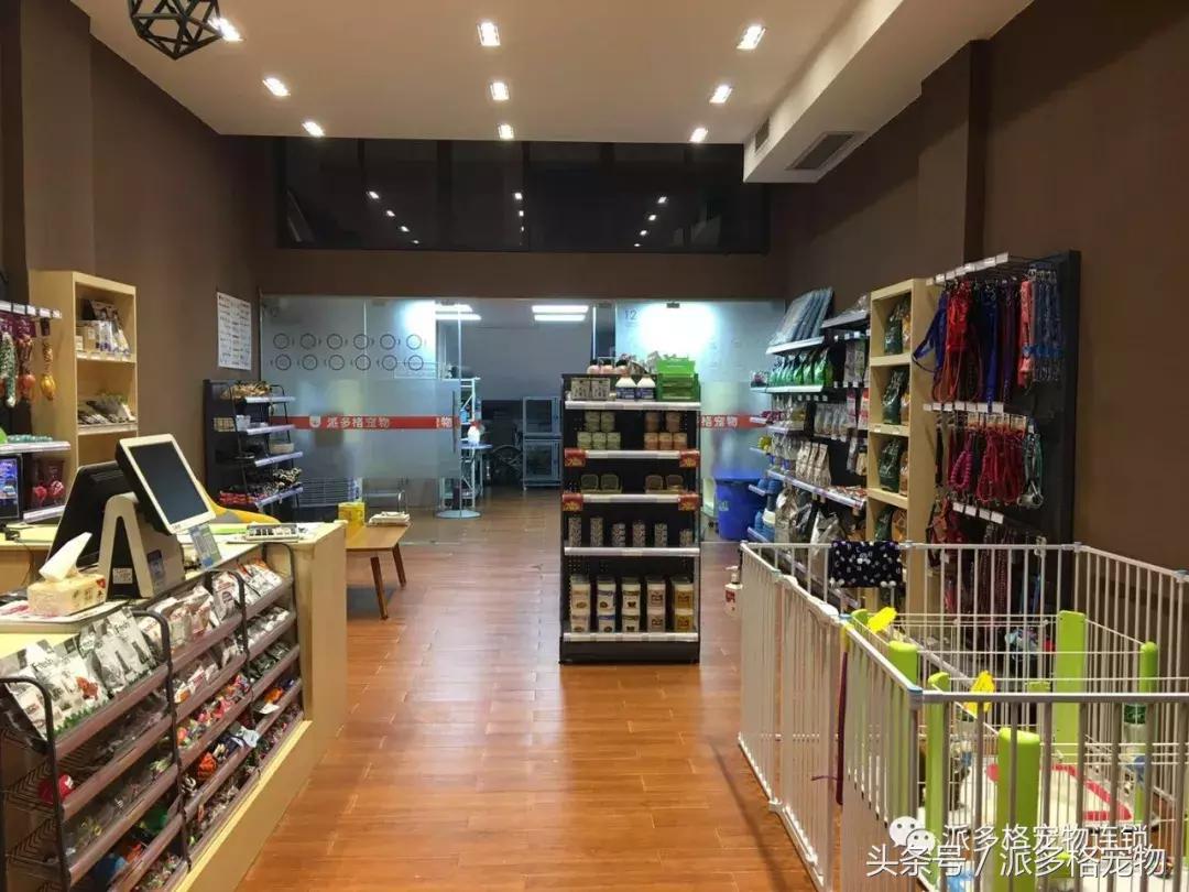 到底是什么让他开了一家派多格宠物店,还想再开一家?
