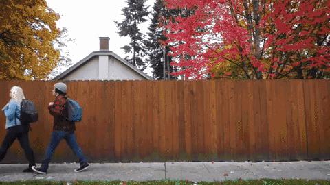 打卡*党**,购物狂,美食咖……新时代旅行人格图鉴,欢迎对号入座!