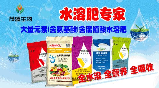 糟心：玉米接连下跌！还要谨防卖粮被骗！