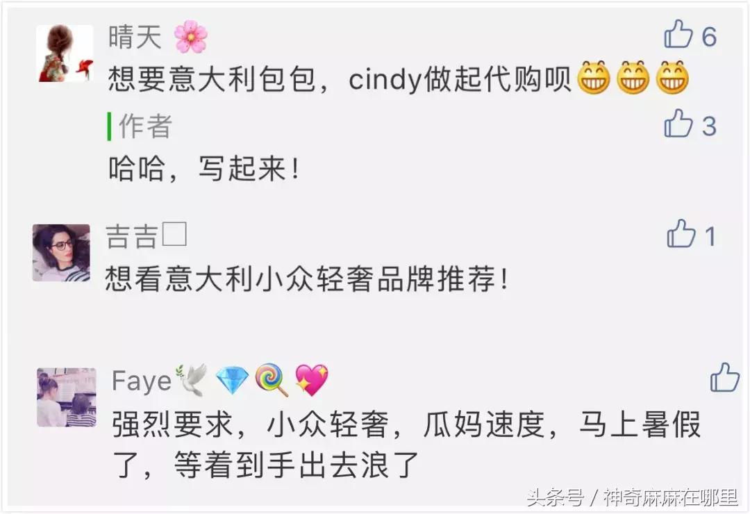 意大利轻奢小众包,有个意大利牌子的包