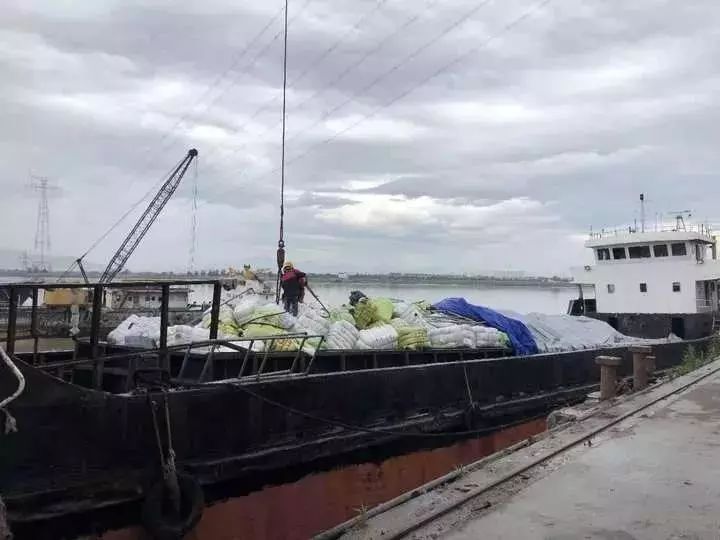 恶臭扑鼻！数百吨韩国旧衣被偷运进来，爱淘“外贸货”的人小心了！