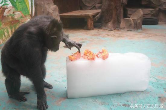 高温肆虐全球,高温热浪席卷全国