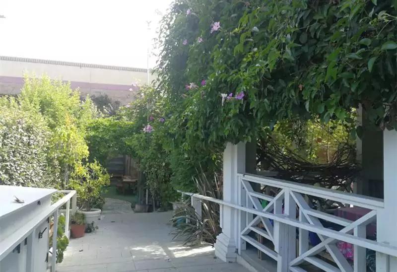 美国和中国幼儿园比较,中国幼儿园和美国幼儿园视频交流