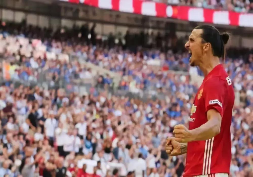 霸气的伊布视频,伊布有多霸气