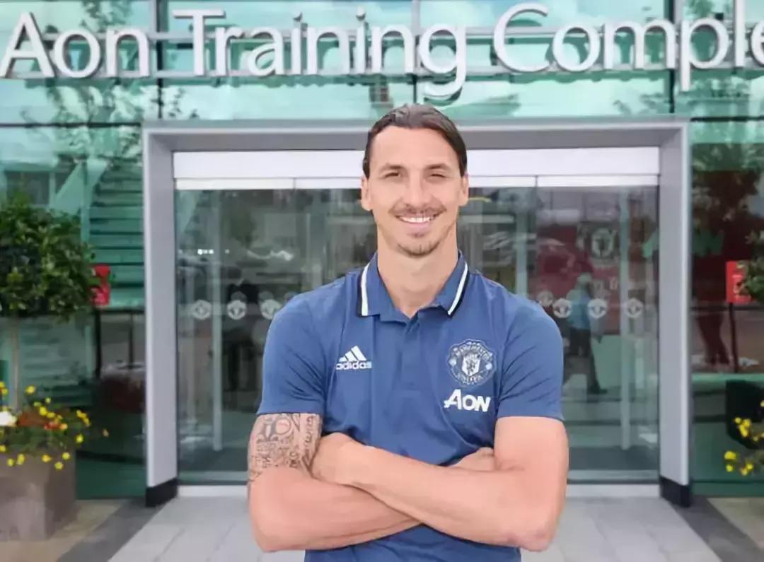 霸气的伊布视频,伊布有多霸气