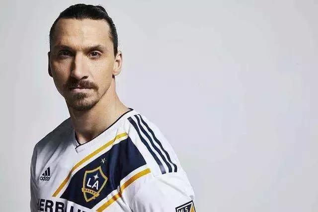 霸气的伊布视频,伊布有多霸气