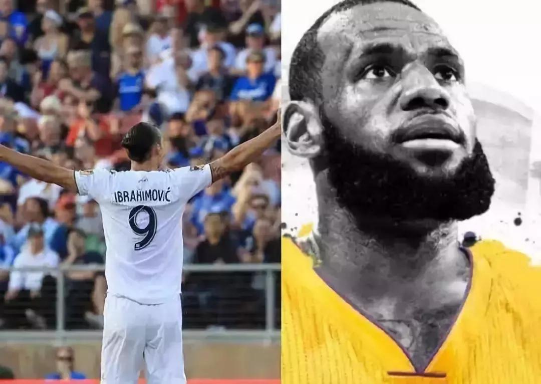 霸气的伊布视频,伊布有多霸气