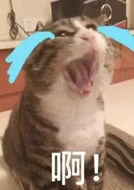 看房交了定金要退不给退该怎么办,看房交了订金