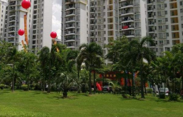 买房你会买14楼18楼吗,买房你会选老房吗