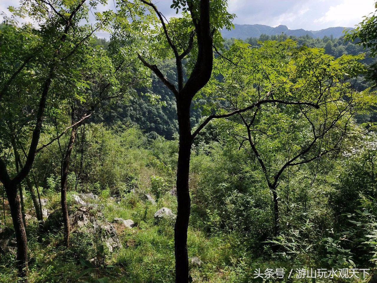 广西全州石脚盆天坑探秘,探秘桂北