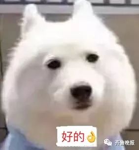 青岛工资17000什么水平,山东淄博和青岛的最低工资