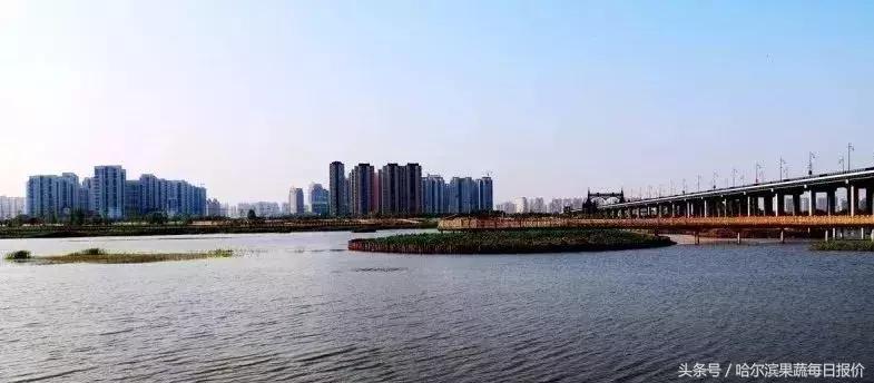 哈尔滨属于几线城市全国排名多少,哈尔滨百强榜排第几位2021年