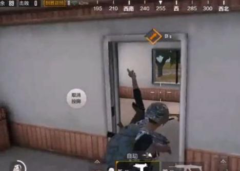 刺激战场最奇葩的bug,刺激战场最离谱的bug