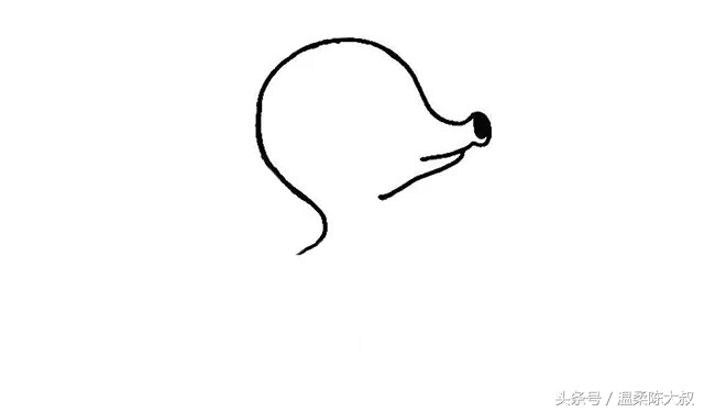 海洋动物简笔画简单画法,儿童简笔画入门0-3岁零基础蜗牛