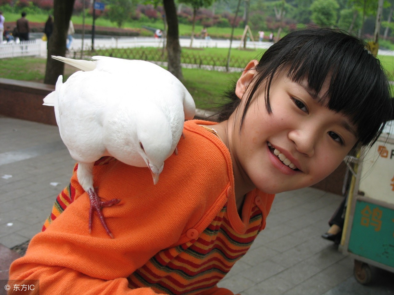 汉字笔画最多最难写的字是哪个,世界上笔画最多的汉字是什么拼音