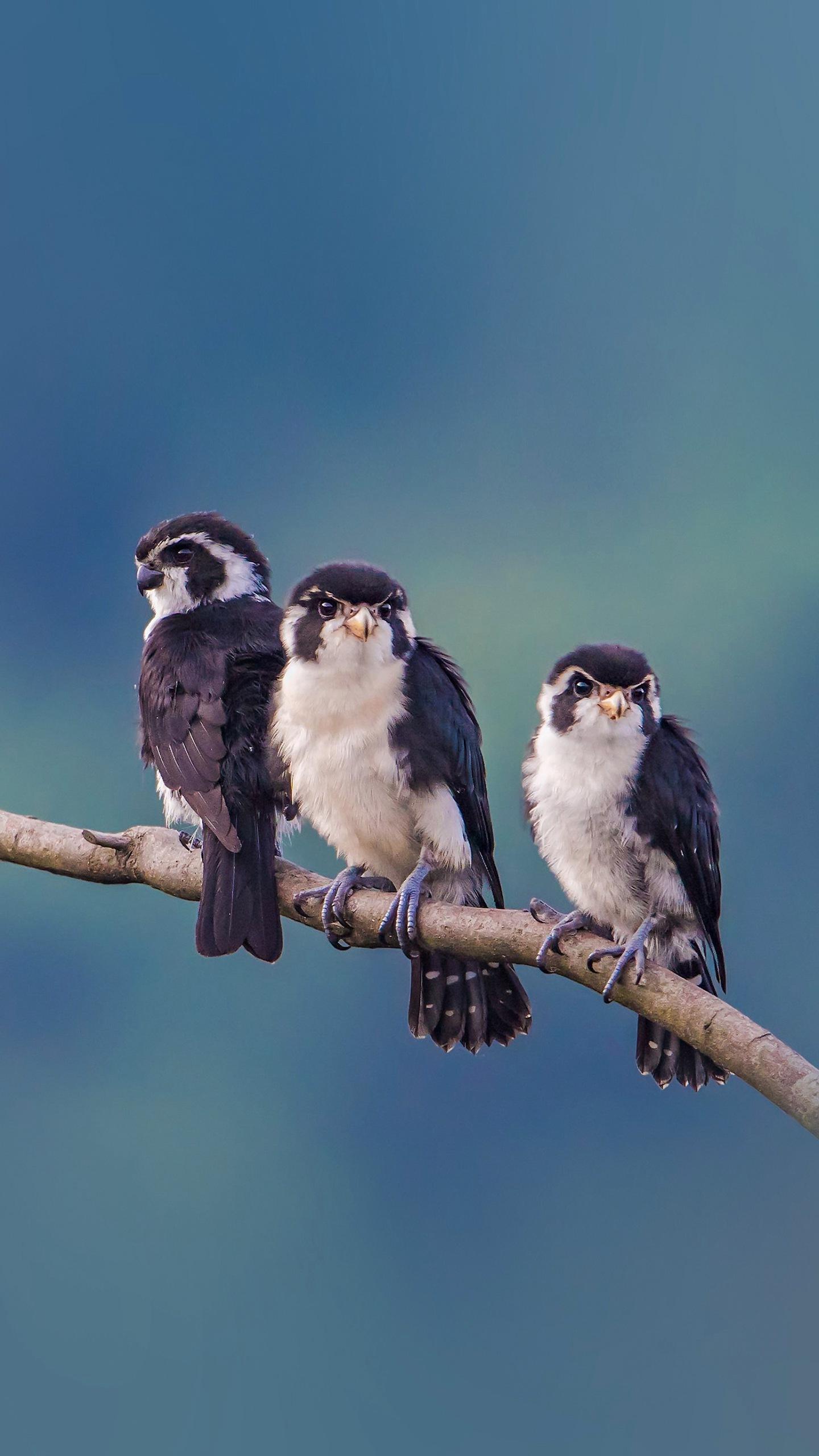 怎么样让自己生气的时候情绪稳定,生气的时候怎么做缓解情绪
