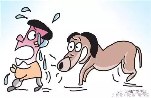 被狗咬住不放怎么办,被狗咬着不松口怎么快速脱离