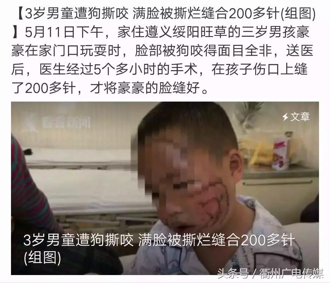 被狗咬住不放怎么办,被狗咬着不松口怎么快速脱离