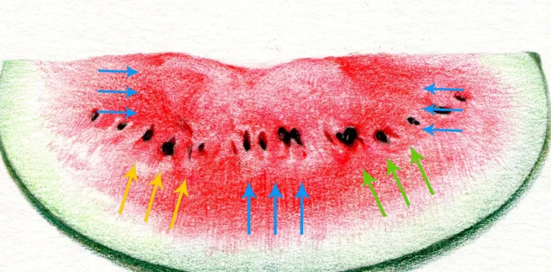 夏天西瓜绘画,夏天西瓜画简单又漂亮