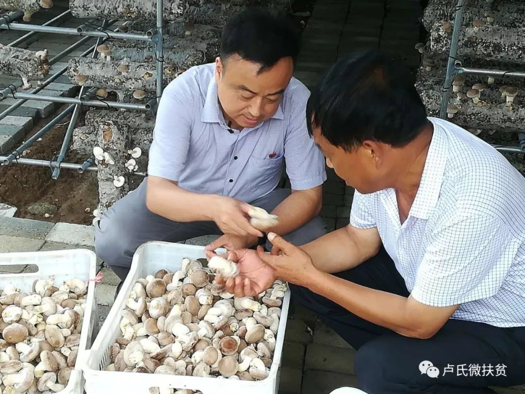 脱贫攻坚有我助力,脱贫攻坚有你有我