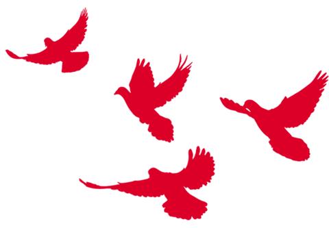 「献礼40周年」那年那月那些人温暖了谁的芳华